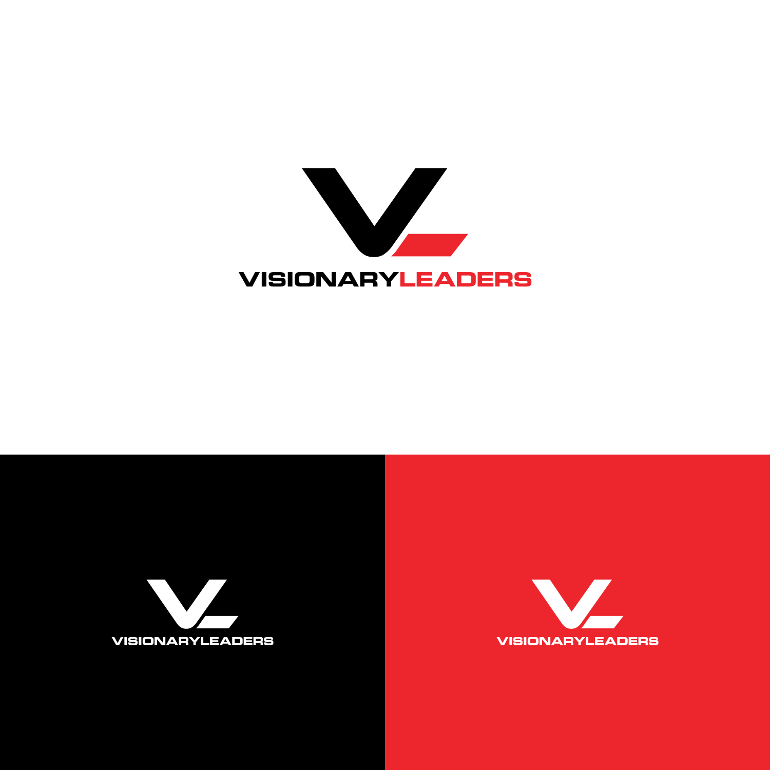 A Company with VL Logo - Upmarket, Serious, Business Management Logo Design for VL Visionary ...