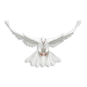 Black and White Dove Logo - White Dove Release Colorado • Home