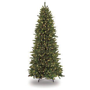 Green Squiggly M Logo - Slim Christmas Trees You'll Love | Wayfair