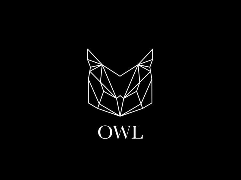 Owl Triangle Logo - Geometric Owl Logo by Ahmed Akram | Dribbble | Dribbble