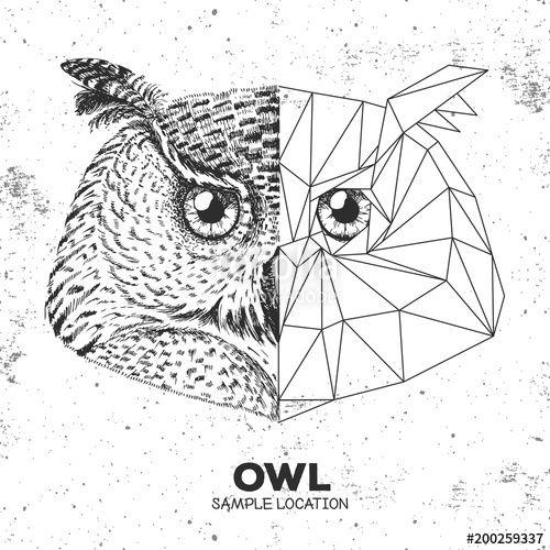 Owl Triangle Logo - Hipster animal realistic and polygonal owl face. Triangle animal