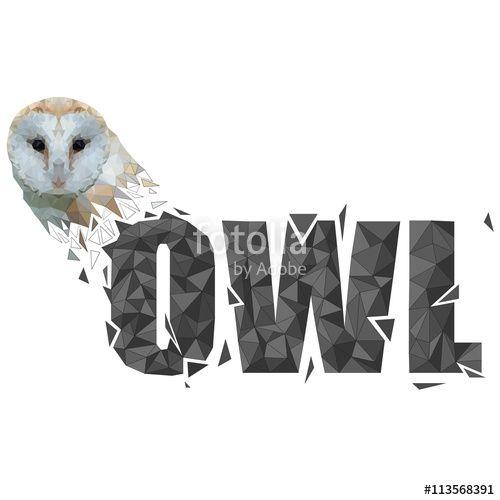 Owl Triangle Logo - Vector polygonal owl with the text of the triangles in the style of ...