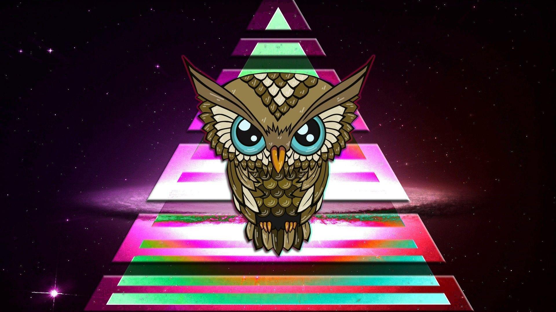 Owl Triangle Logo - owl triangle colorful space illuminati wallpaper and background