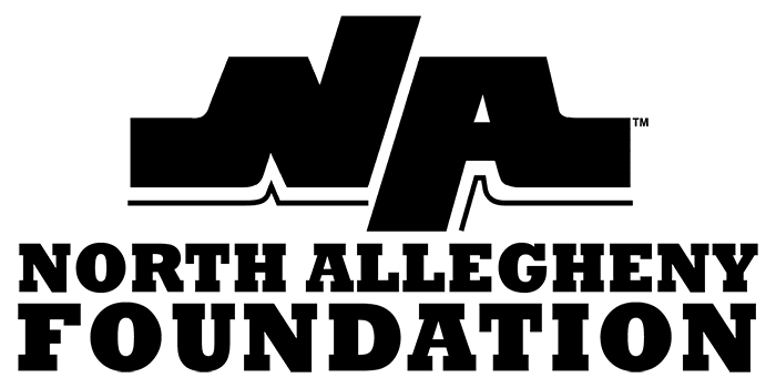 Black Na Logo - NA Foundation / Overview
