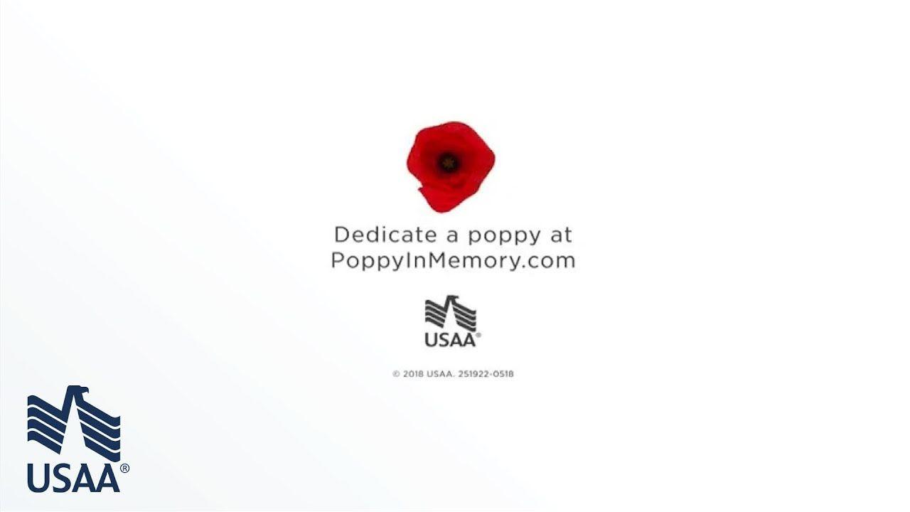 Poppy Flower Logo - Memorial Day 2018: Poppy in Memory | 360 Video | USAA