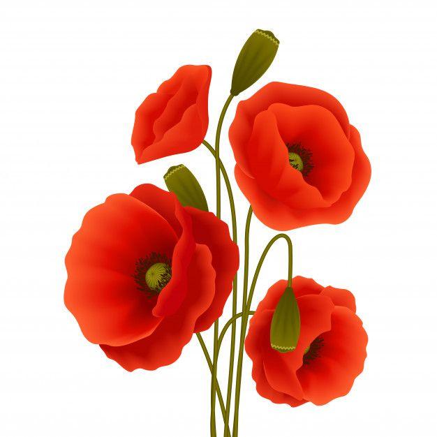 Poppy Flower Logo - Poppy Vectors, Photo and PSD files