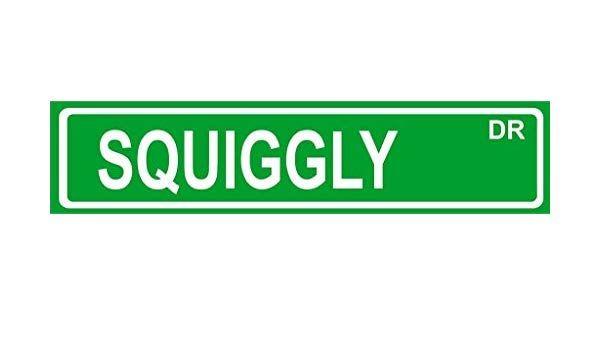 Green Squiggly Logo - SQUIGGLY room décor green street sign 6x24 aluminum