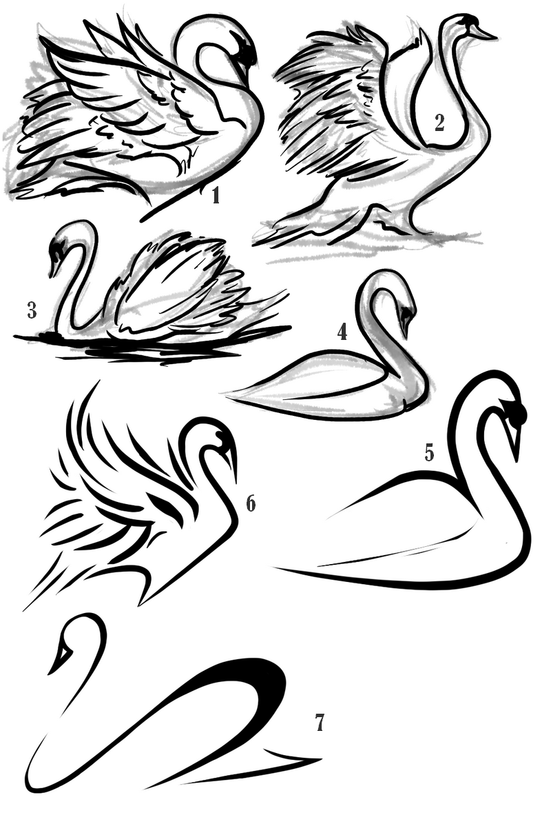 Pretty Swan Logo - Swan tattoo-because they are monogamous and only mate once in their ...
