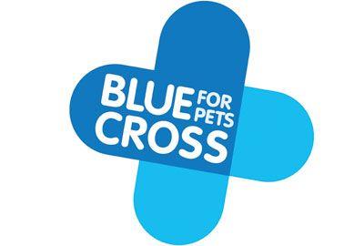 Blue Cross Logo - Brand Report: Blue Cross