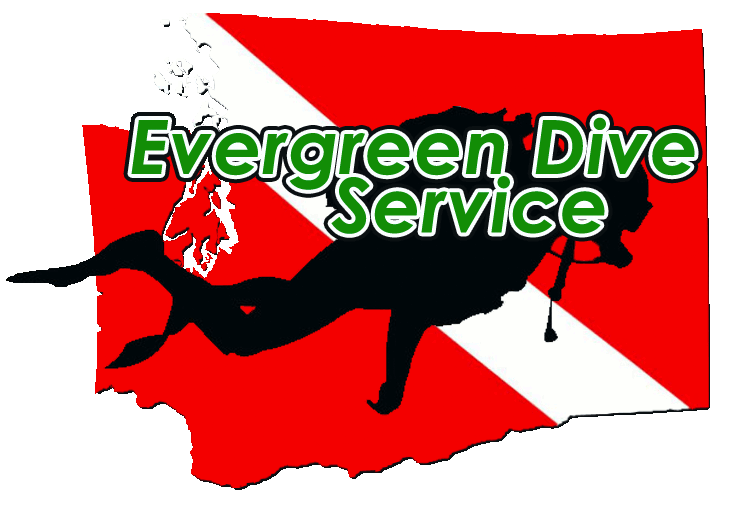 Red Diving Logo - Home Page - Evergreen Dive