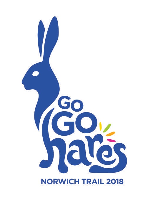 Blue Hare Logo - GoGo Hares 2018 Reveal | Jarrold Training