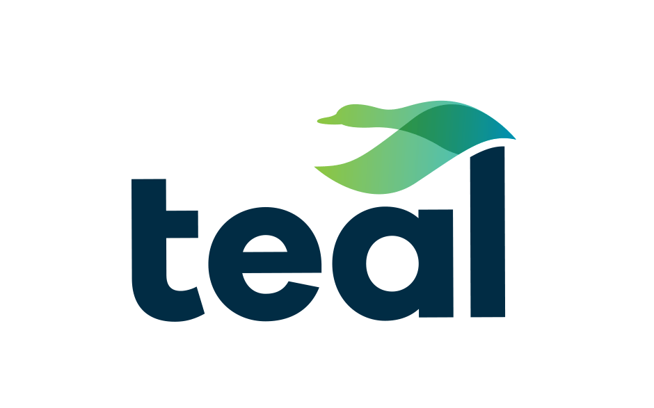 Teal Logo - Creative Logo Design & Branding - Double D Creative