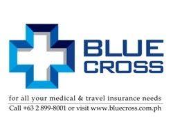 Blue Cross Logo - Blue Cross Logo