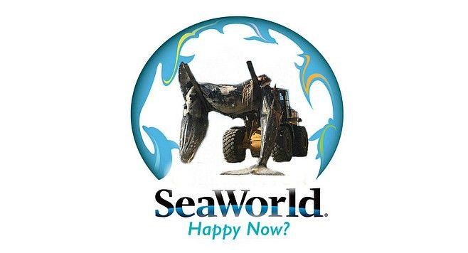 SeaWorld Logo - SeaWorld reveals new logo after dead whale found on Torrey Pines