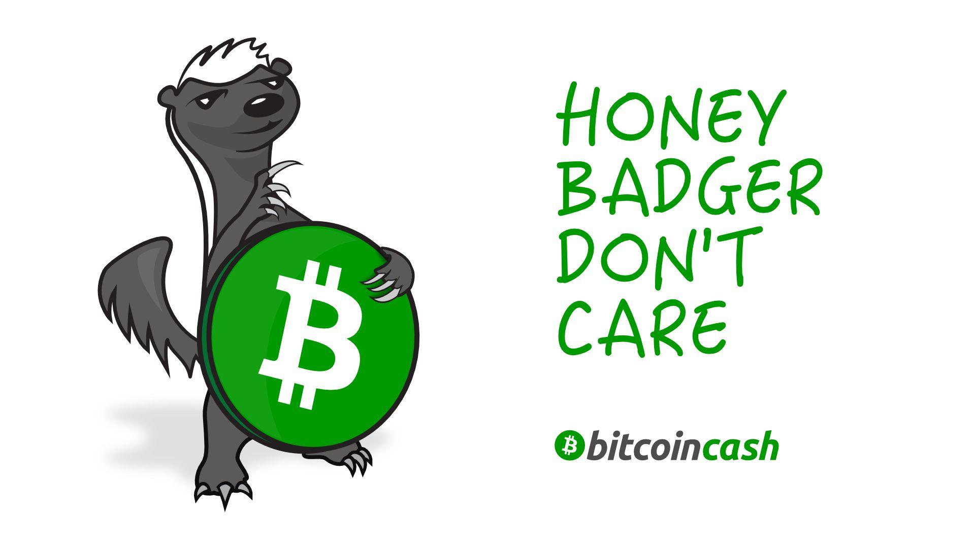 Bitcoin Cash Logo - bitcoin cash logo & branding Bitcoin Forum