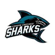 Sharks Basketball Logo - Hollywood Knights Celebrity Basketball Team