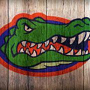 Florida Gators Logo - Florida Gators Logo On Barnwood Art Print by Daniel Hagerman