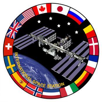 Official NACA Logo - Official NASA International Space Station ISS Lapel Pin with ...