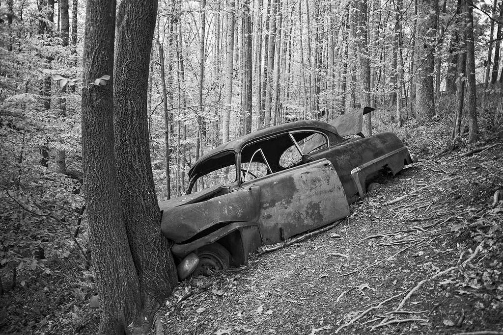 Into the Woods Black and White Logo - Wrecked Antique Car Found in the Woods: Black and White Photograph ...