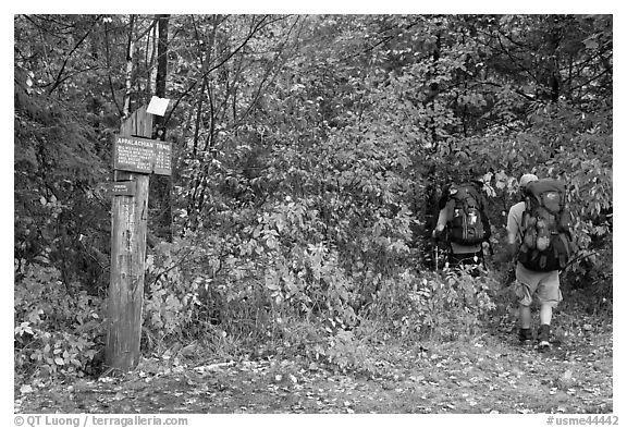Into the Woods Black and White Logo - Black and White Picture/Photo: Backpackers hiking into autumn woods ...
