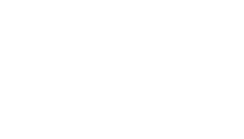 White Blue Horse Logo - Blue Horse Solutions »