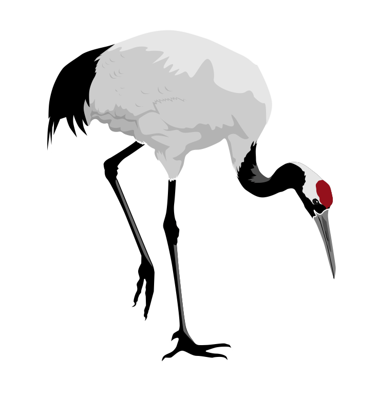 Black Red Crane Logo - Red Crane Clipart