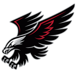 Nighthawk Bird Logo - About