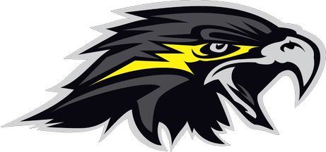 Nighthawk Bird Logo - Nighthawk Logos