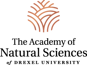 Drexel University Logo - Academy of Natural Sciences | Identity | Drexel University