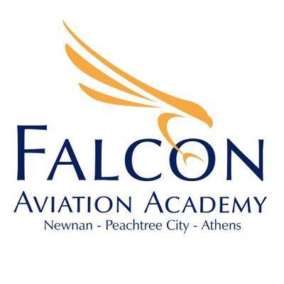Brown Falcon Logo - Falcon Aviation!!