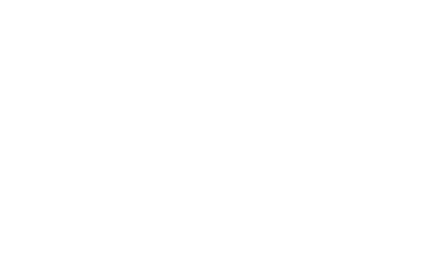 White Pioneer Logo - Texas - HOME