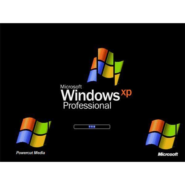Microsoft Windows XP Professional Logo - Does the End of Windows XP Support Mean the End Of Microsoft?