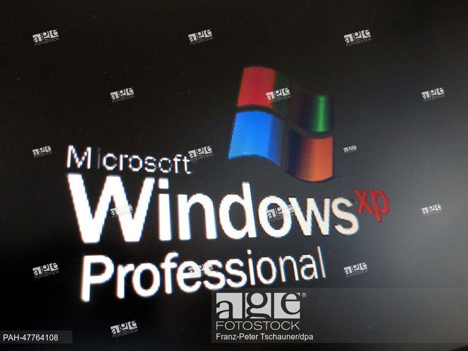 Microsoft Windows XP Professional Logo - The logo of operating system Windows XP Professional is on display