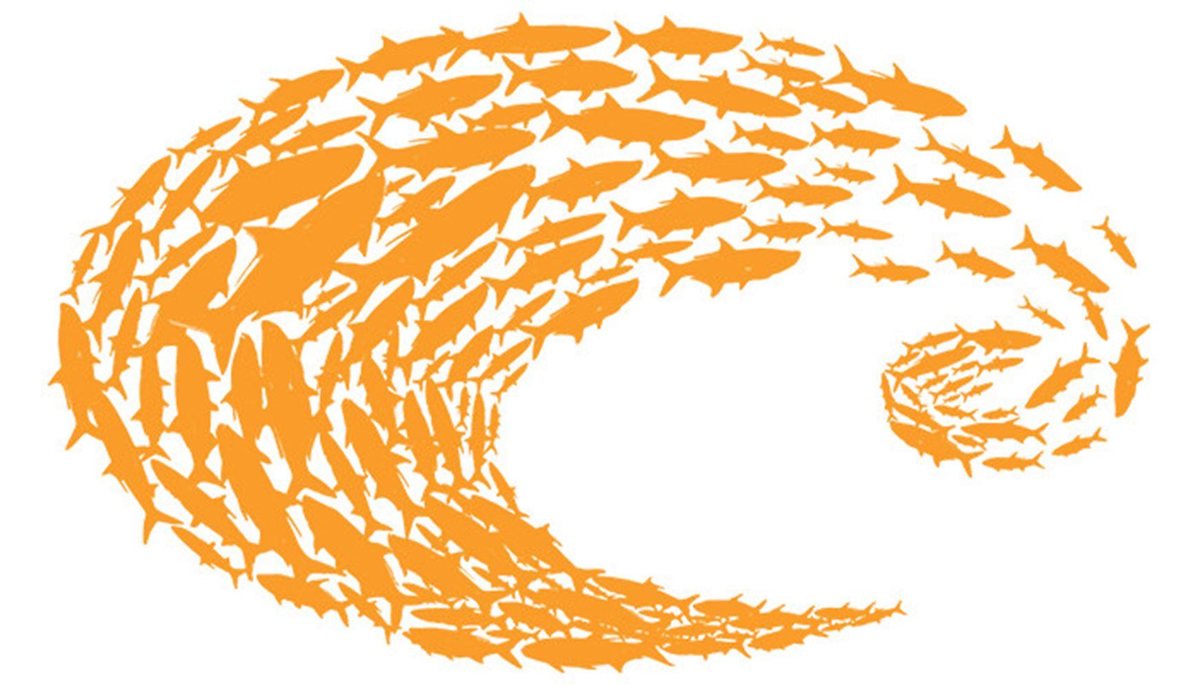 Camo Costa Logo - Costa Del Mar Decal Costa Orange Logo Sm Schoolin - Island Bazaar