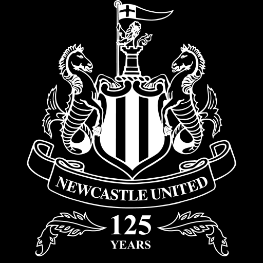 New Castle Logo - Newcastle United Executive Club - ITC Service LTD - IT Support Newcastle