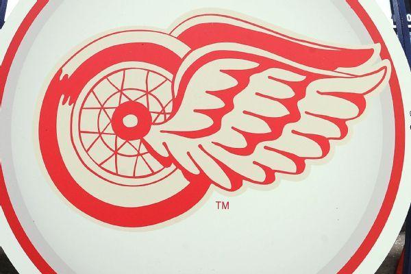 White Picture of Red Wing Logo - Detroit Red Wings 'vehemently disagree' with use of logo at