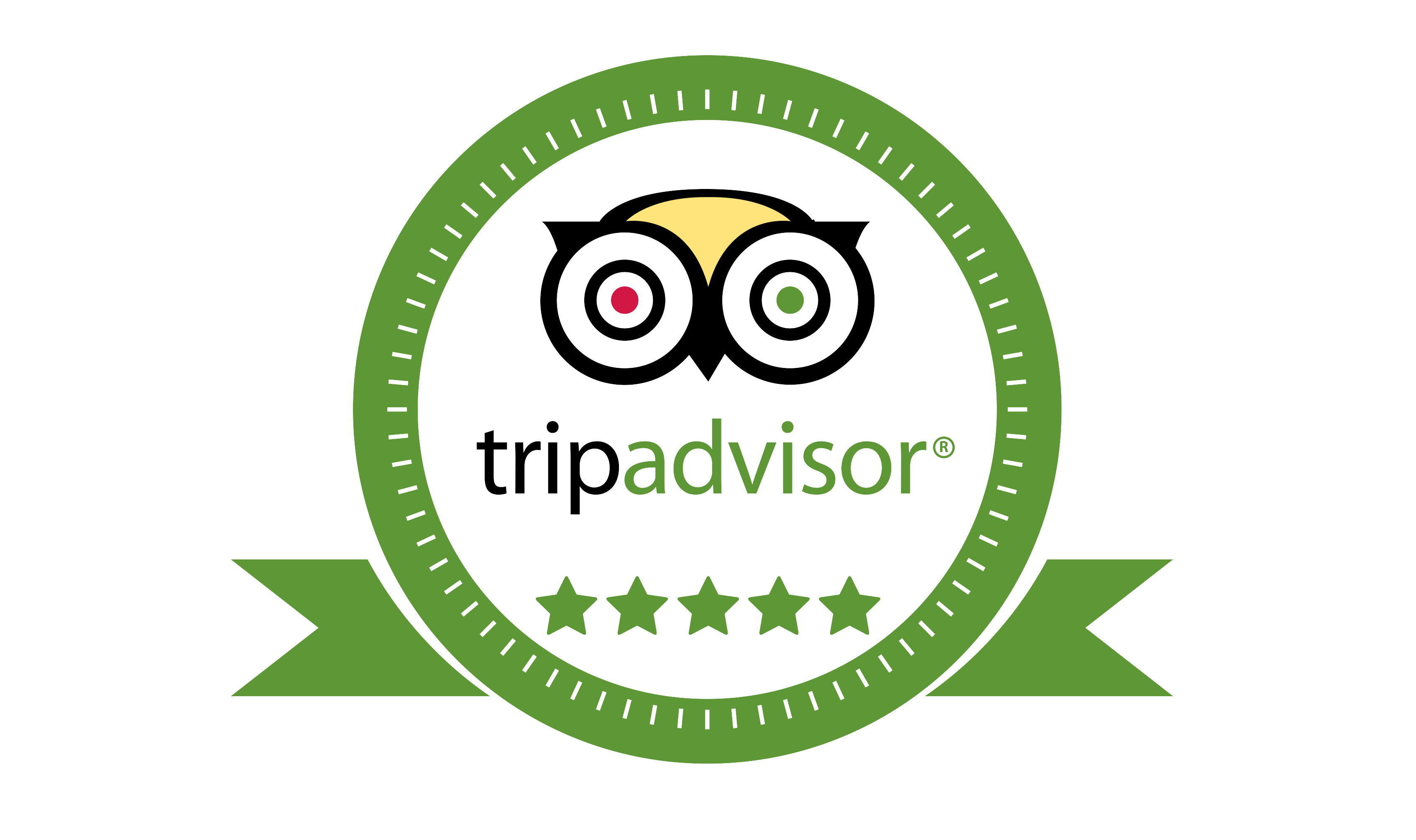 TripAdvisor Recommended Logo - EXCELLENCE CERTIFIED BY TRIP ADVISOR IN 2017