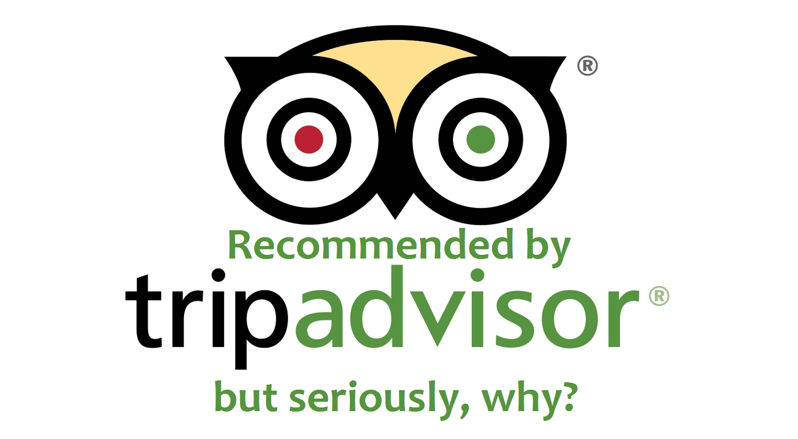 TripAdvisor Recommended Logo - Experiencing Paris through TripAdvisor