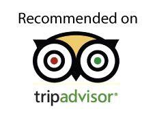 TripAdvisor Recommended Logo - Hércules Tours Galicia Tour Coruna Tour Tripadvisor