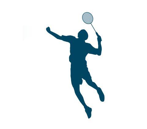 Badminton Bat Logo - Bat Sports – the badminton experts