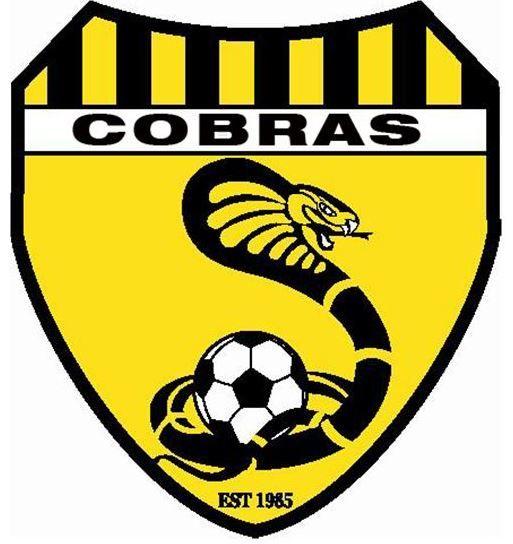 Cobras Soccer Logo - Caulfield Cobras Soccer Club & Seniors Located in Bentleigh