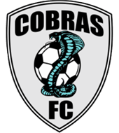 Cobras Soccer Logo - Home