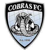 Cobras Soccer Logo - Testimonial Logo Cobras FC Team USA