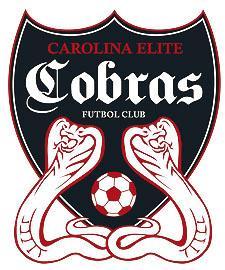 Cobras Soccer Logo - Cobras Making W-League Plans With Local Signees - Southern Soccer Scene