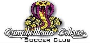 Cobras Soccer Logo - Home Page - Campbelltown Cobras SC - SportsTG