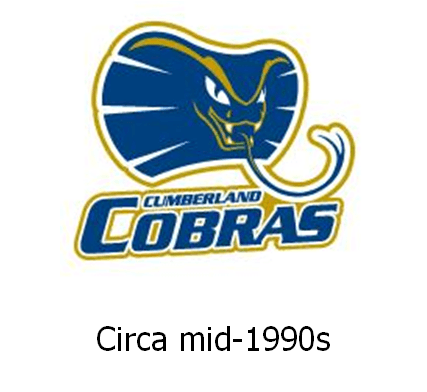 Cobras Soccer Logo - Club History. Cumberland United Soccer Club