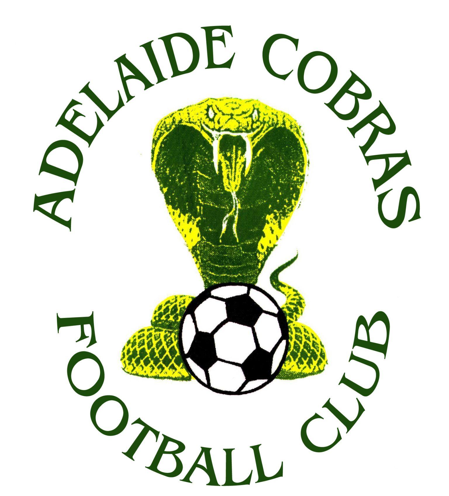 Cobras Soccer Logo - Adelaide Cobras 2017 Junior Trials - Football Federation South ...