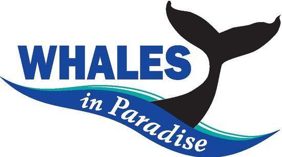 Whales Logo - Whales in Paradise Coast Whale Watching Logo