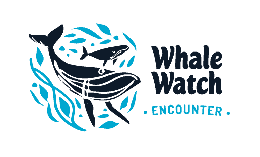 Whales Logo - Hervey Bay Whale Watching | Fraser Island Tours | Packages & Day Tours