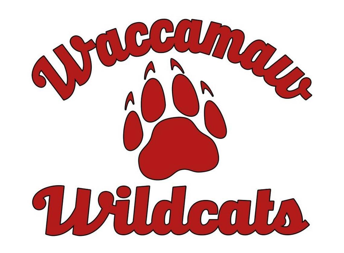 Waccamaw Middle Wildcats Logo - Waccamaw Elementary changing mascot to the 'Wildcats'. Myrtle Beach